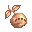 坚果