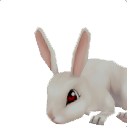 兔子